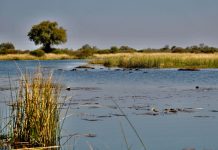 How Control of Water Shapes Power and Security in Africa