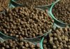 Marine Ingredients Development and Trends to Look Out For