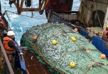 Some Wins, More to Lose if No Change to the Status Quo