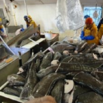 Beware the Dangers of Enclosed Spaces on Commercial Fishing Vessels