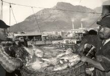 SADSTIA Marks 50-Year Milestone