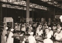 Headcount or Outcomes? Finding the Right Fit between TES and BPO