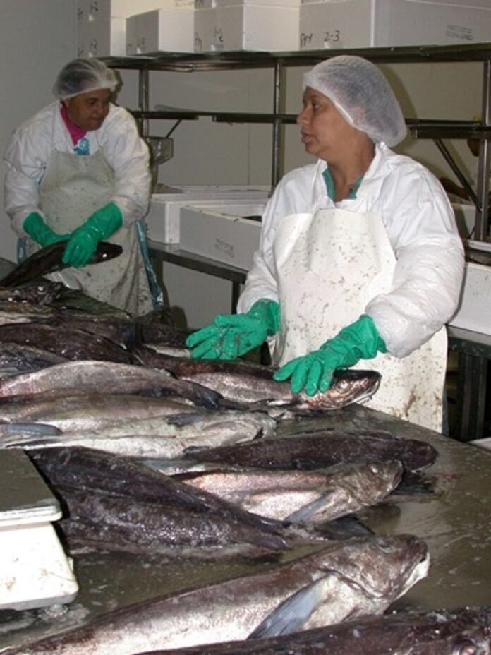 SADSTIA-processing-fish