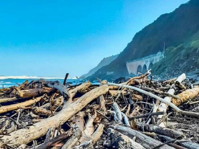 Debris on the beach at Wilderness