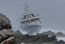 Will the Real Owner Stand Up Please