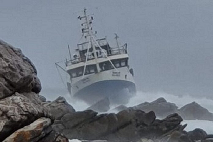 Elke M hard and fast