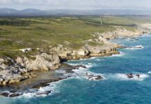 How Valid are MPAs to the South African Marine Environment?