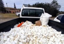 Positive Response to Proposal to Ban Plastic Microbeads