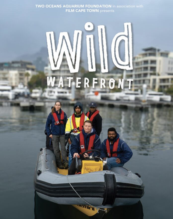 Two Oceans Aquarium (11) WILDWATERFRONT_MOVIEPOSTER_TOA_2025_A4