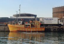 Shark Protection Stepped Up