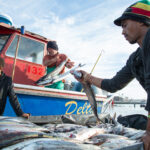 Food Systems Hearing To Address Inequality Facing Small-Scale Fishers, Coastal Communities