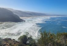 The OECM Footprint: Aiming for 30% Land and Sea Conservation by 2030