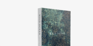 Take an Unbelievable Journey Through Some of the Planet’s Most Pristine Waters