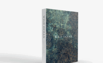 Take an Unbelievable Journey Through Some of the Planet’s Most Pristine Waters