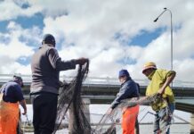 Securing Tomorrow’s Catch. Why SA Retailers are Investing in Sustainable Fishing