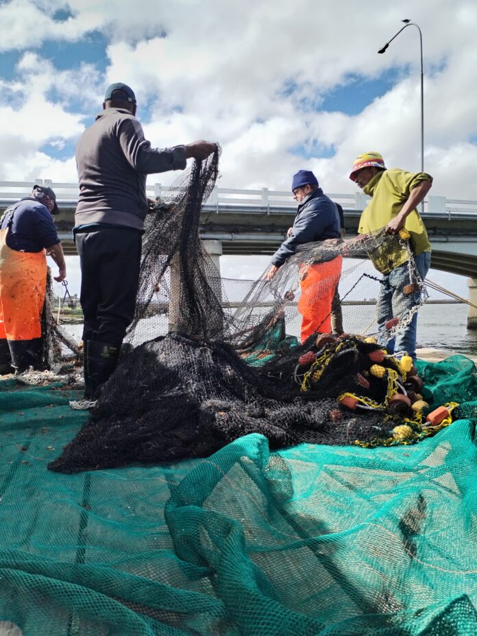 World Fisheries day (3)