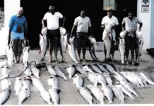 A Fishing Freak’s Recall of Fishing False Bay – 1954 to 2021