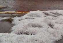 The Rising Cost of Hailstorms and What it Means for South African Farmers