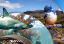 Tracking South Africa’s State of Biodiversity Made Easier