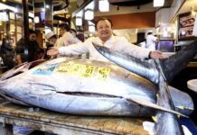Record Price for a Bluefin Tuna