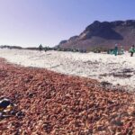 Another Massive Lobster Walkout