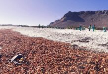 Another Massive Lobster Walkout