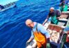 Minister Revokes Right Allocations to Small-scale Fishers