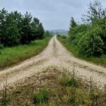 The Middle Way to Resolving the Oil & Gas and Fishing Stalemate