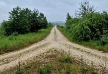 The Middle Way to Resolving the Oil & Gas and Fishing Stalemate