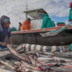 Minister Vows Strengthening the Small-Scale Sector
