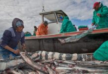 Minister Vows Strengthening the Small-Scale Sector