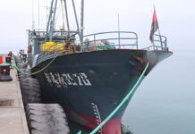Namibia Steps Up Enforcement as Vessel Nabbed for IUU Fishing