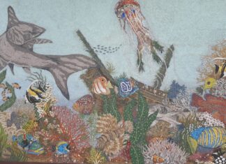 Stunning Display of Marine and Bird Life Immortalised