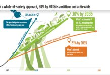 Inclusive Conservation is Key to Bolder SA Environmental Targets