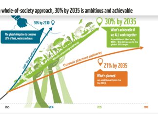 Inclusive Conservation is Key to Bolder SA Environmental Targets