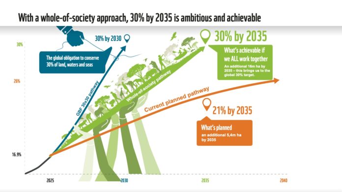 NBSAP Infographic Credit WWF South Africa