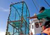 State of World Fisheries and Aquaculture 2026 Report Launched