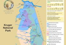 Renewable Energy Plan to Future Proof Kruger National Park