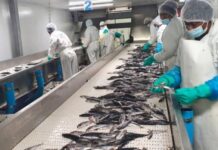 Namibian Fisheries Governance in Need of a Reset