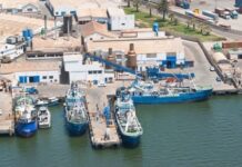 Namibia’s President Talks to the Fishing Industry