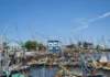 Mozambique Fishing Industry Struggles Mirror Economy