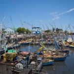 Mozambique Fishing Industry Struggles Mirror Economy