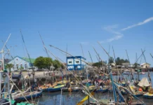 Mozambique Fishing Industry Struggles Mirror Economy