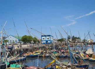 Mozambique Fishing Industry Struggles Mirror Economy