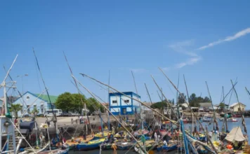 Mozambique Fishing Industry Struggles Mirror Economy