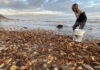 Scientists Track Oxygen Status Along West African Coast