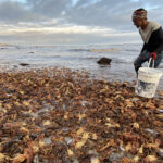 Scientists Track Oxygen Status Along West African Coast