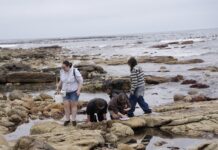 Learners Invited to Apply for 2027 Marine Sciences Programme