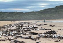 Cape Town Faith-Based Waste Separation Initiative Launch this Weekend