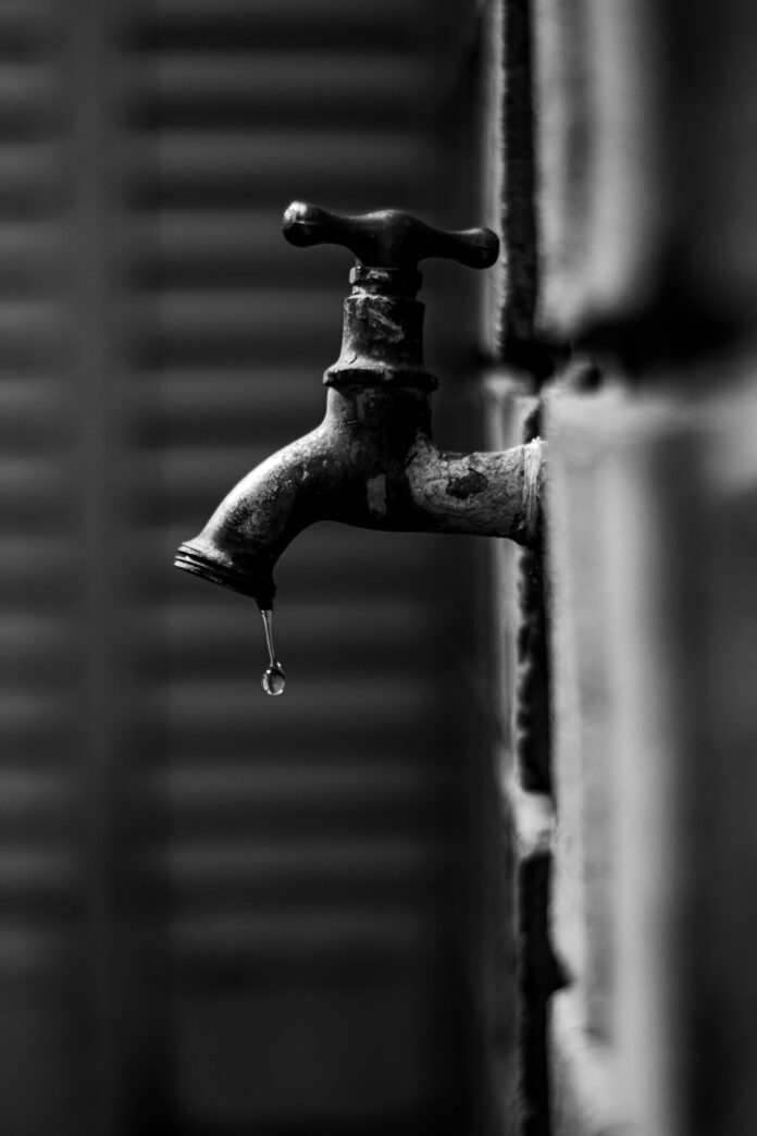 IMG_3890
